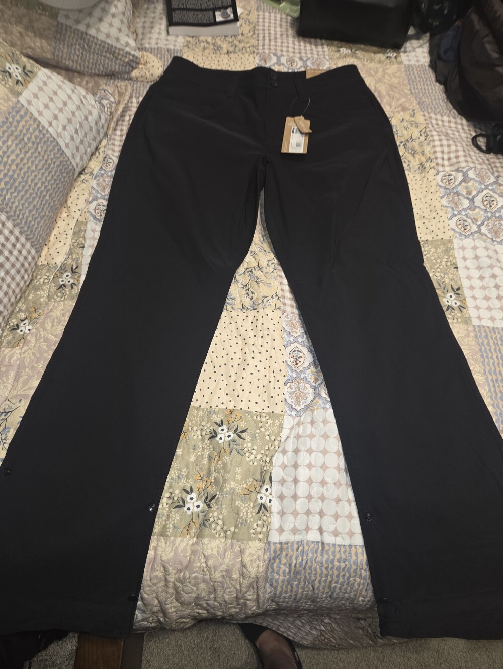 Women’s Black Eddie Bauer Sightscape Horizon Convertible Pant